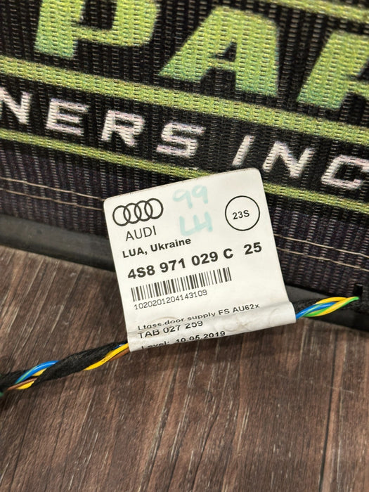 2021 AUDI R8 DRIVER LEFT DOOR WIRING HARNESS OEM 4S8 971 029 C