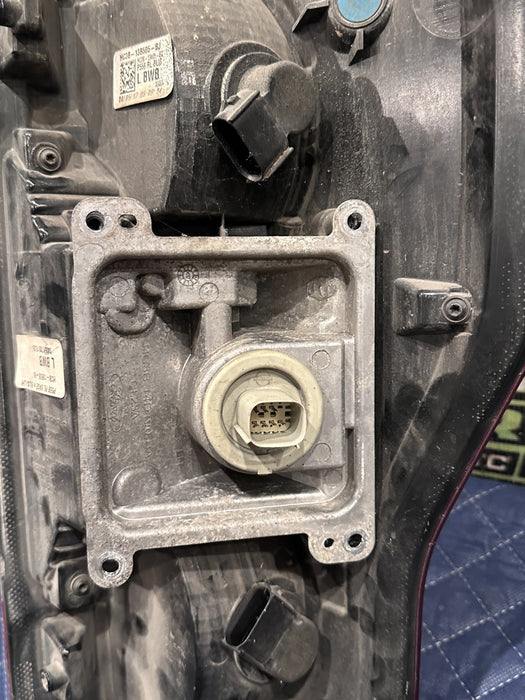 2017-2019 FORD F250 F350 F450 LEFT DRIVER HALOGEN BLISS TAIL LIGHT ASSEMBLY OEM