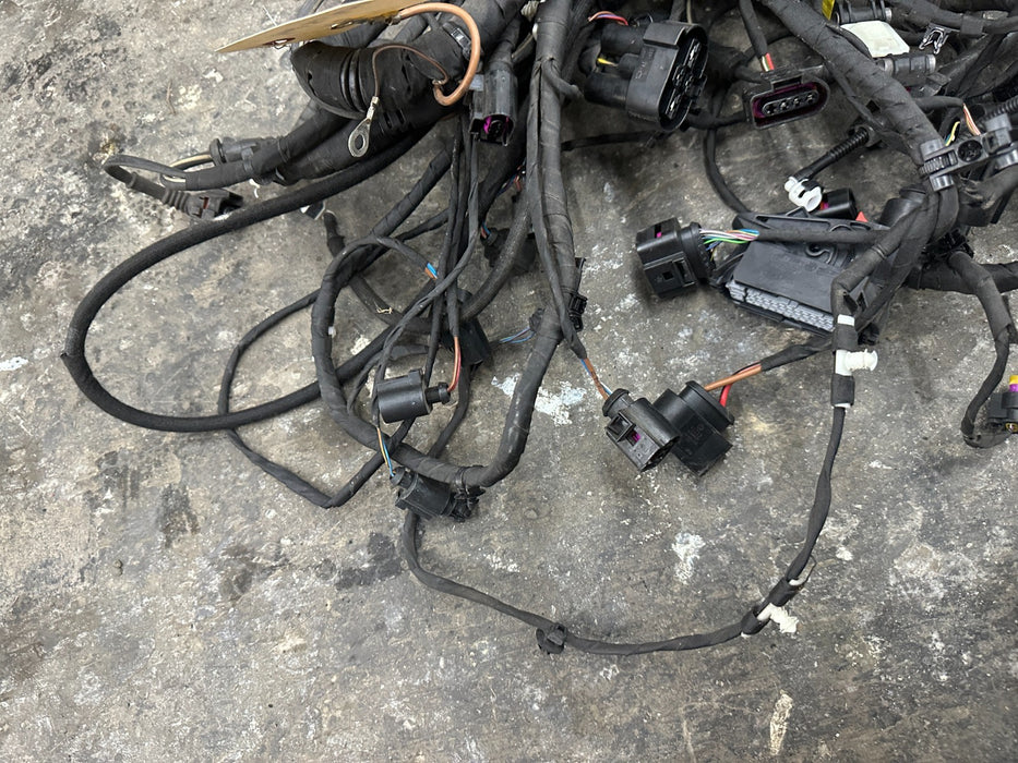 2014 AUDI R8 SPYDER FRONT FRUNK TUB HARNESS HARNESS ~CUT~