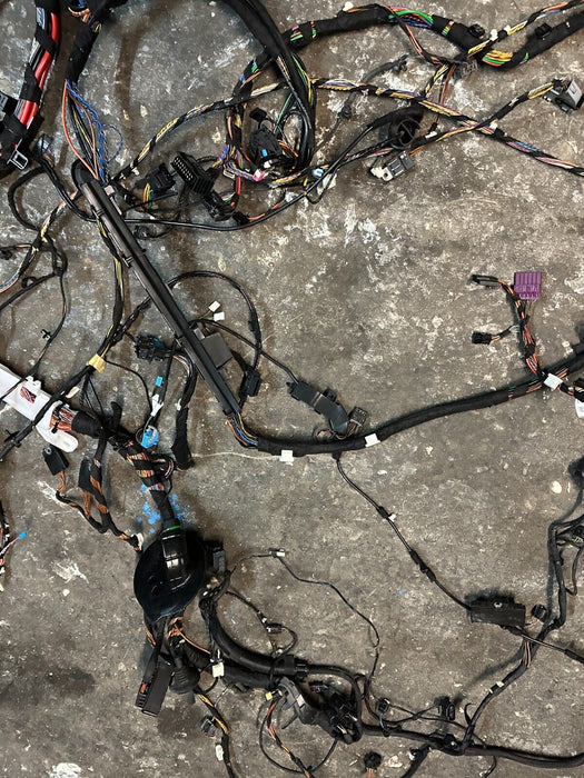 2015-2020 BMW M4 F82 COUPE DCT MAIN BODY CHASSIS WIRE HARNESS OEM 61112360338