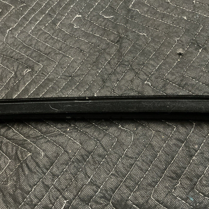 2017-2022 FORD F250 F350 F450 FRONT RIGHT OUTER DOOR BELT WEATHERSTRIP OEM