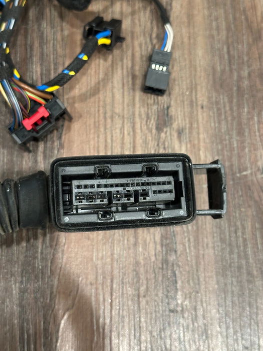 2021 AUDI R8 DRIVER LEFT DOOR WIRING HARNESS OEM 4S8 971 029 C