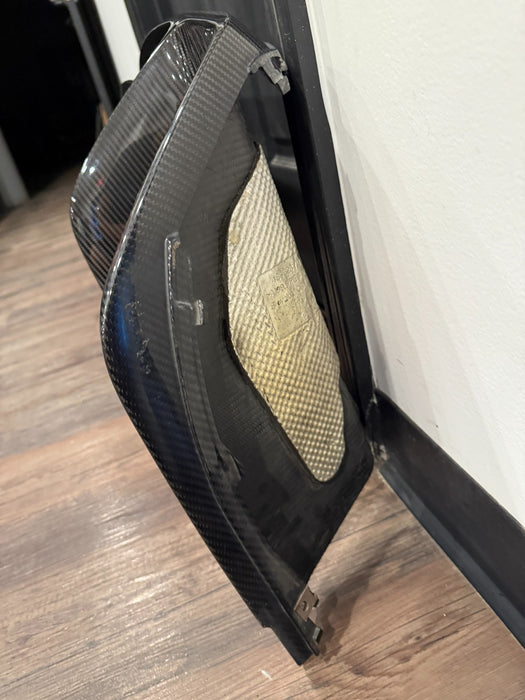 2017 2018 AUDI R8 CARBON FIBER REAR DIFFUSER OEM GENUINE 4S0807521D