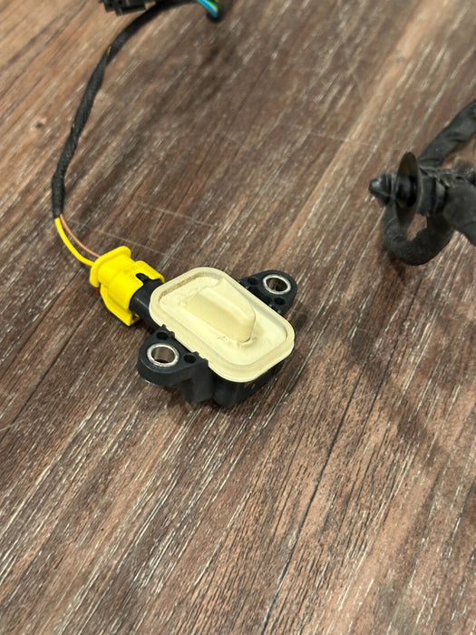 2021 AUDI R8 DRIVER LEFT DOOR WIRING HARNESS OEM 4S8 971 029 C