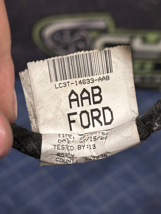 2020 FORD F450 PLATINUM REAR LEFT DRIVER SIDE DOOR HARNESS LC3T-14632-AAB