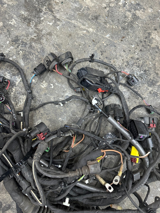 2014 AUDI R8 SPYDER FRONT FRUNK TUB HARNESS HARNESS ~CUT~