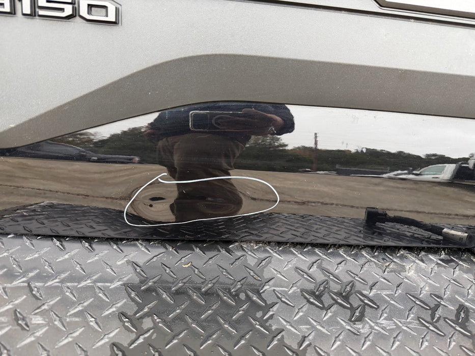 2019 FORD F150 RAPTOR REAR TAILGATE W STEP (G1) SHADOW BLACK OEM *FLAWS 8-11*