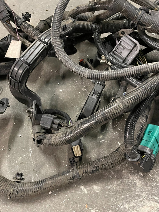 2018 FORD F250 LARIAT DRIVER FRAME WIRING HARNESS W CONNECTORS OEM