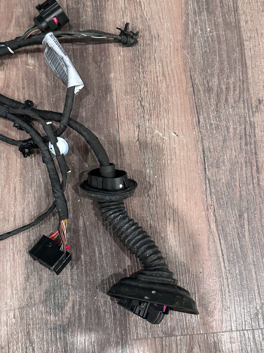 2012 AUDI R8 FRONT DRIVER LEFT DOOR WIRING HARNESS OEM 420 971 029 ~SNIPPED~