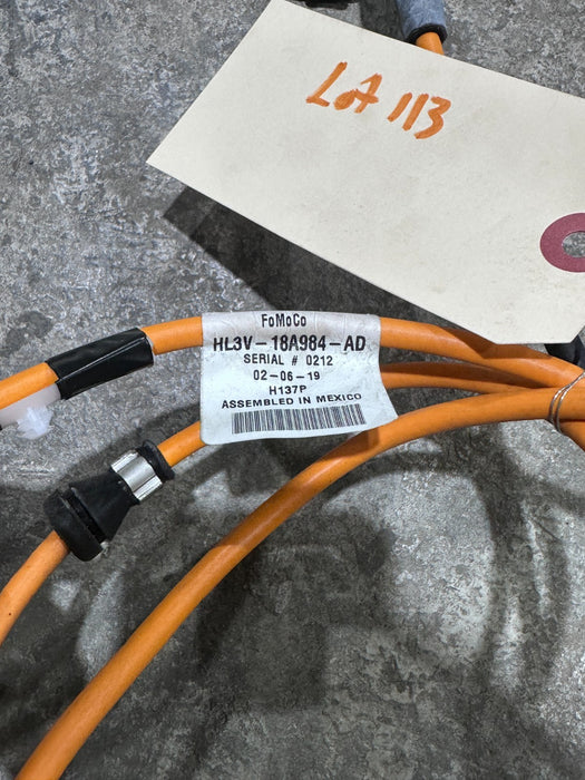 2019 FORD F150 RAPTOR RADIO ANTENNA CABLE OEM HL3V-18A984-AD