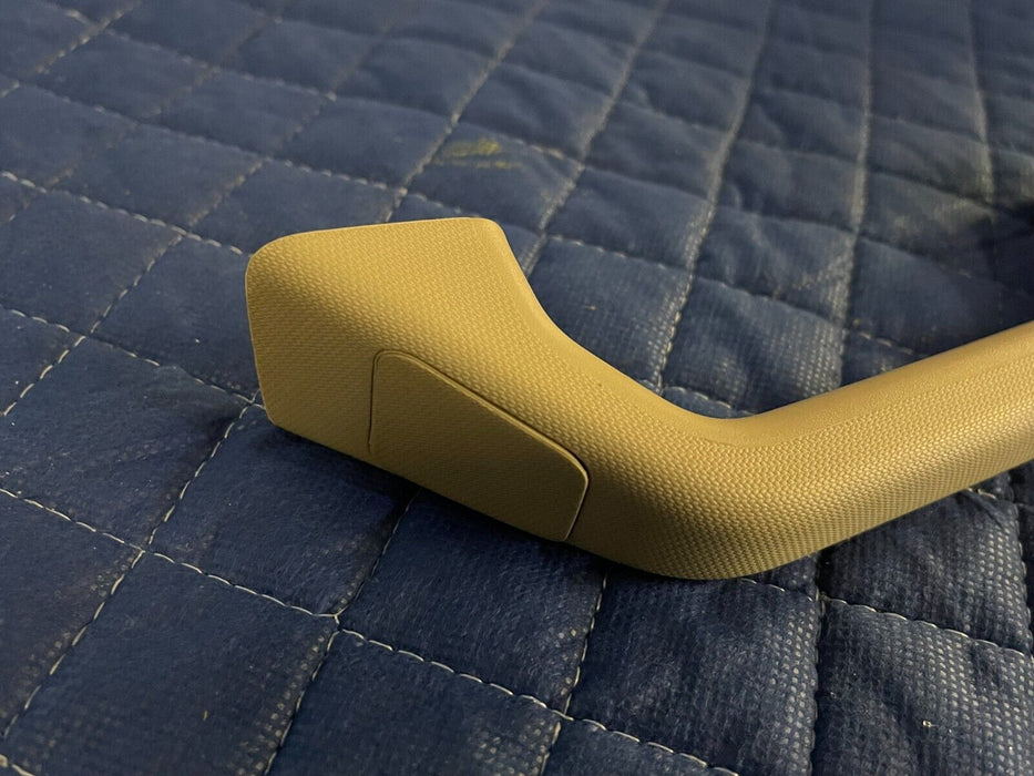 2017 2018 2019 FORD F250 F350 F450 LARIAT INTERIOR B PILLAR GRAB HANDLE PAIR OEM