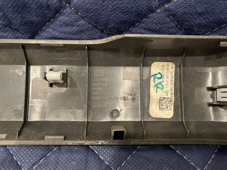2017-2019 FORD F250 F350 F450 REAR RIGHT DOOR PANEL HANDLE COVER OEM *SCRATCHES*