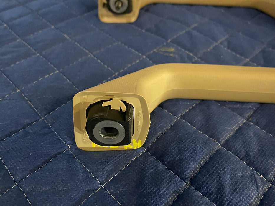 2017 2018 2019 FORD F250 F350 F450 LARIAT INTERIOR B PILLAR GRAB HANDLE PAIR OEM