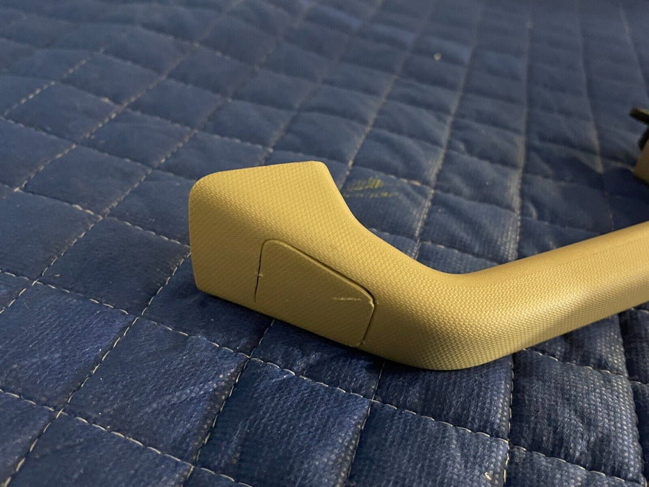 2017 2018 2019 FORD F250 F350 F450 LARIAT INTERIOR B PILLAR GRAB HANDLE PAIR OEM