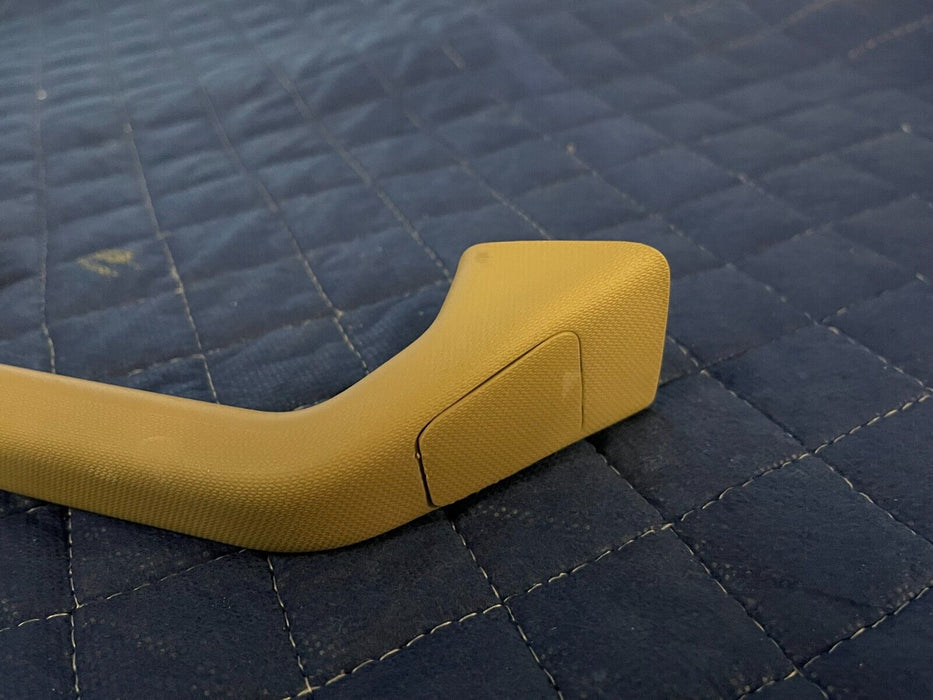 2017 2018 2019 FORD F250 F350 F450 LARIAT INTERIOR B PILLAR GRAB HANDLE PAIR OEM