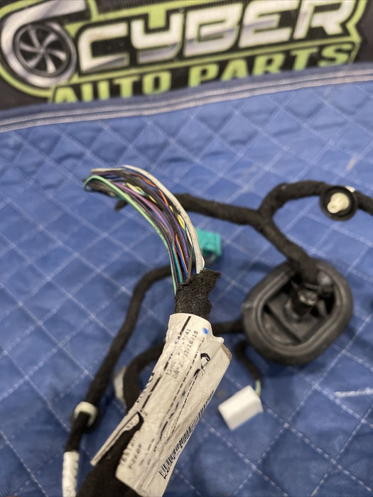 2019 FORD F250 PLATINUM  REAR PASSENGER RIGHT DOOR HARNESS OEM