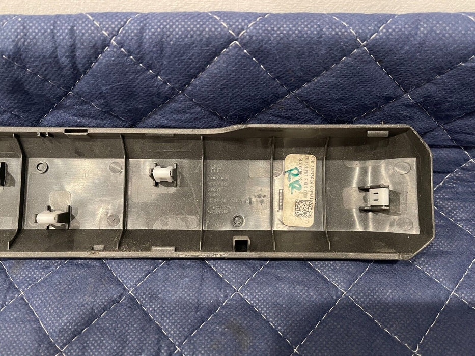 2017-2019 FORD F250 F350 F450 REAR RIGHT DOOR PANEL HANDLE COVER OEM *SCRATCHES*